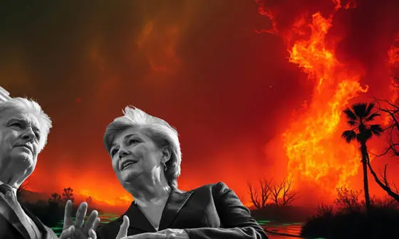 Graphic depiction of world leaders and wildfires