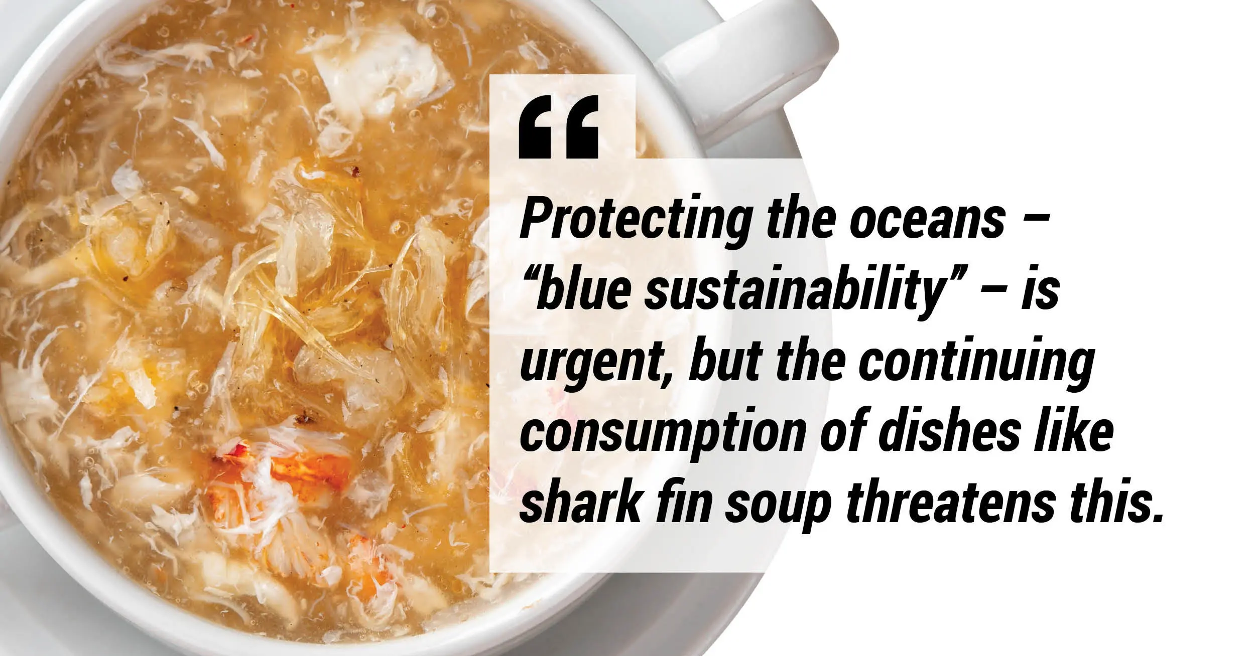 Protecting the oceans - 'blue sustainability' - is urgent, but the continuing consumption of dishes like shark fin soup threatens this.