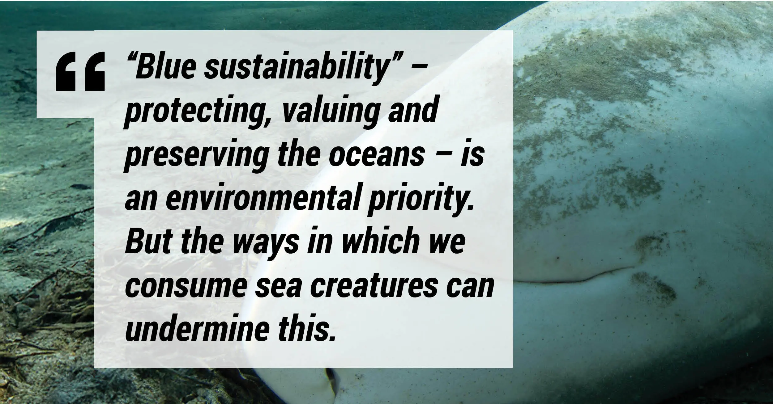 'Blue sustainability' - protecting, valuing and preserving the oceans - is an environmental priority. But the ways in which we consume sea creatures can undermine this.