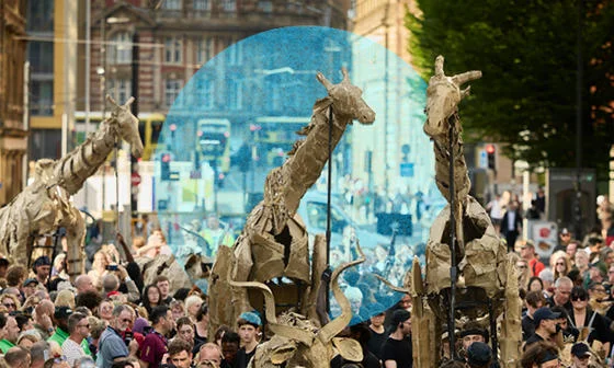 Herds on display