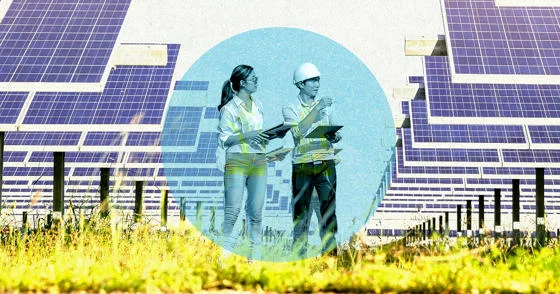 A solar farm