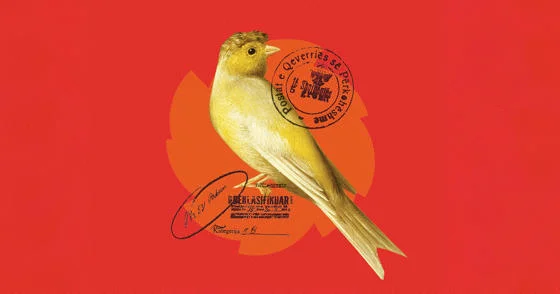 A canary on a red background.