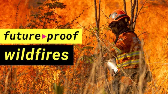 Fireman in forest fire