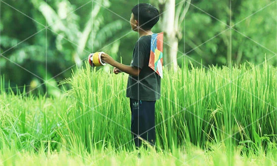 boy holding kite