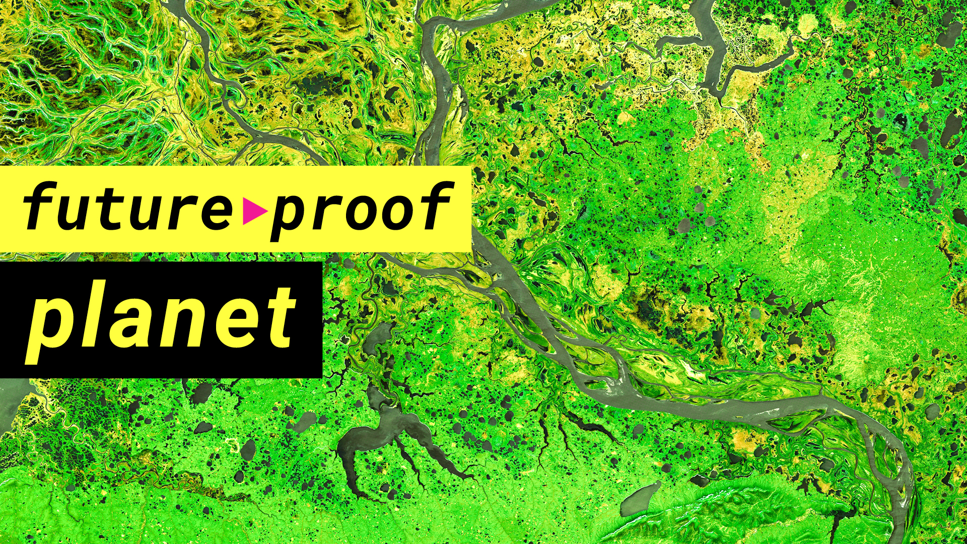 How to make life on our planet more sustainable | LSE Future Proof
