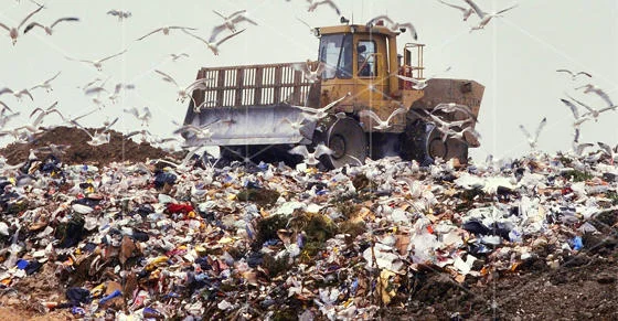 The toxic waste crisis poisoning UK towns | LSE Future Proof