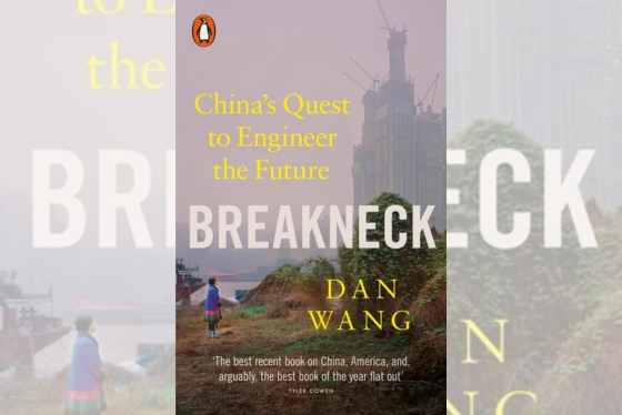 Book cover of breakneck 