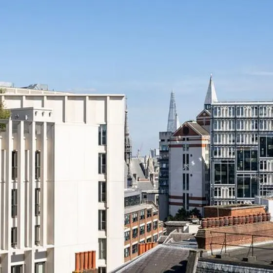 Rooftop of campus buildings on a sunny day