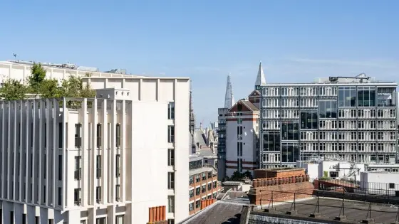 Rooftop of campus buildings on a sunny day