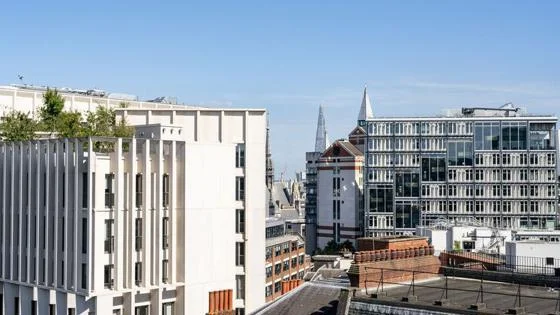 Rooftop of campus buildings on a sunny day