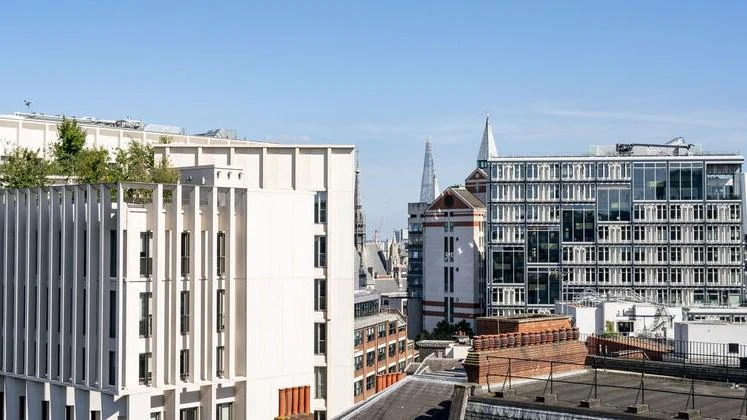 Rooftop of campus buildings on a sunny day
