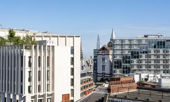 Rooftop of campus buildings on a sunny day