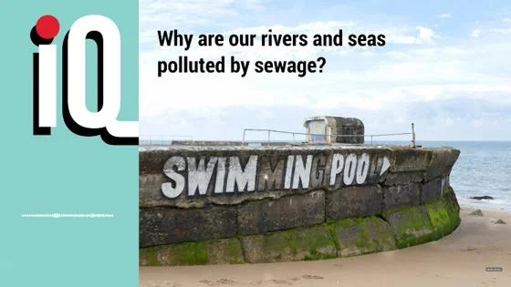 Sewage (1)