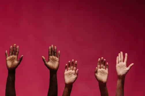 Activism, Influence and Change Programme