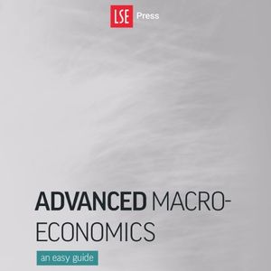 What kind of macroeconomics is useful when formulating policy?