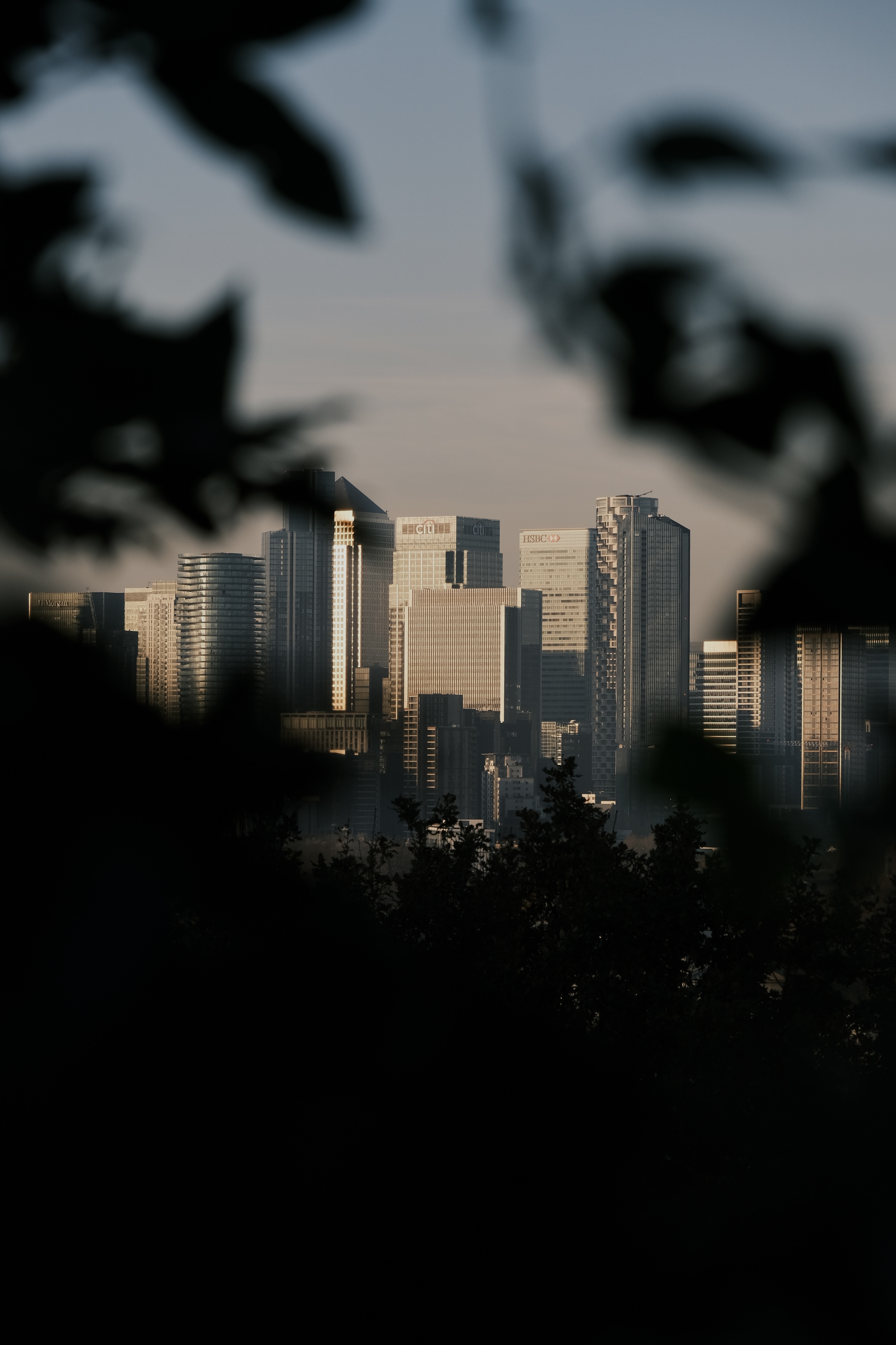 photo through tree leaves of london skyline