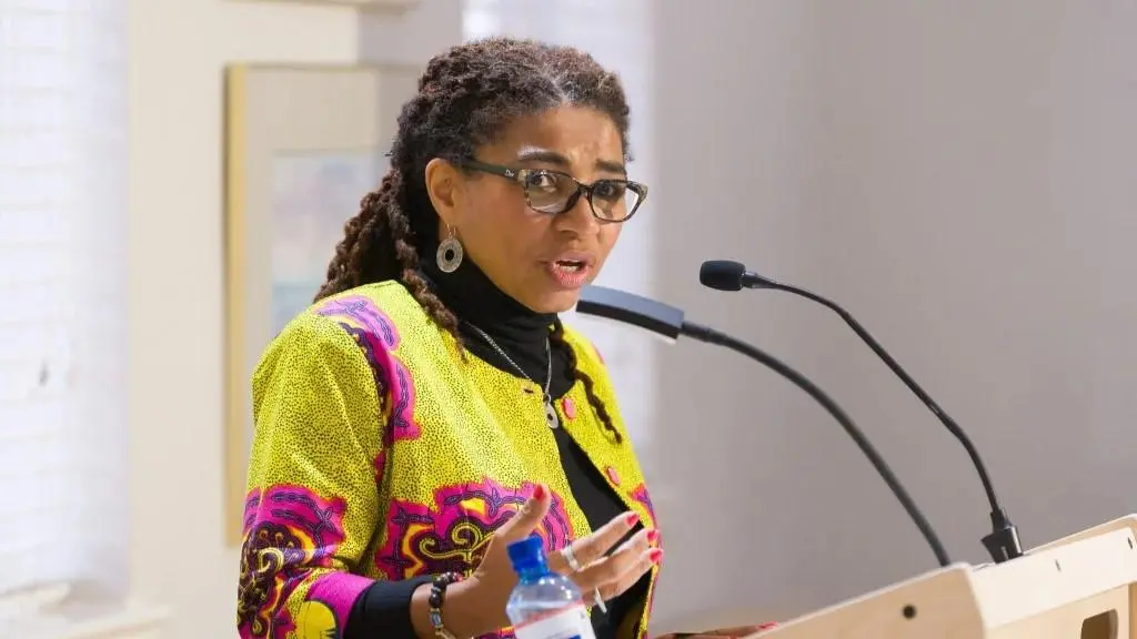Professor Akosua-Adomako Ampofo