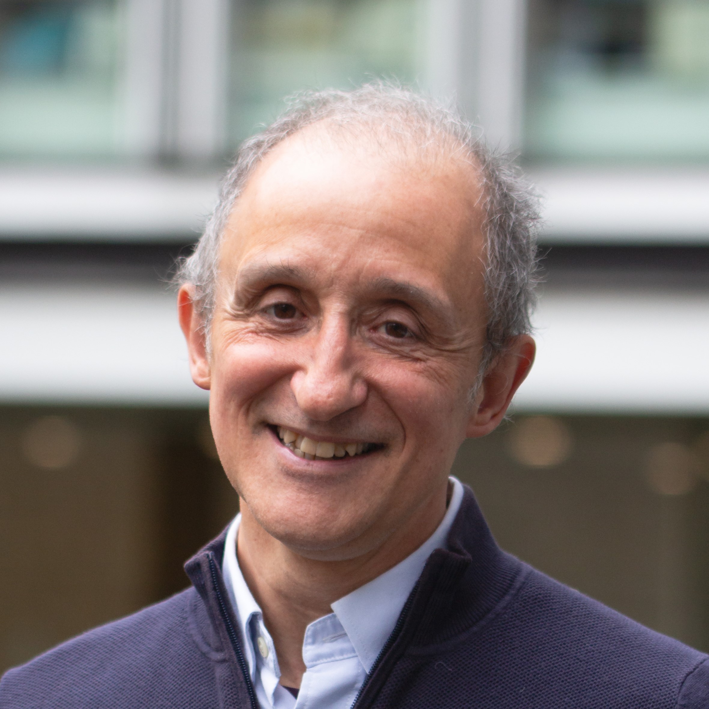 Alessandro Stanziani image