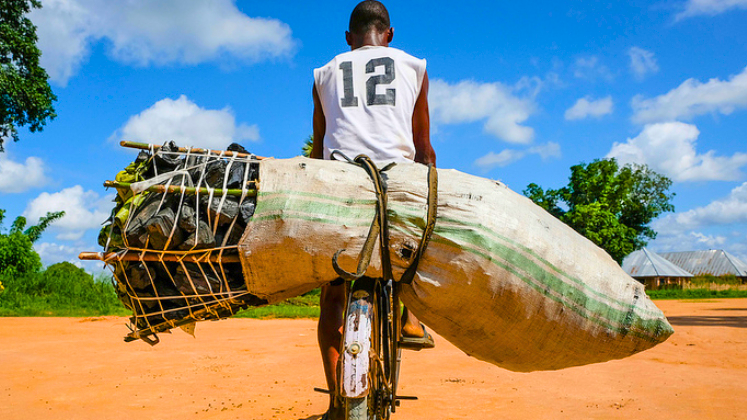 Blog-Research on public authority and international development thumbnail