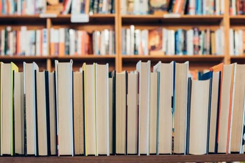 Books on bookshelves