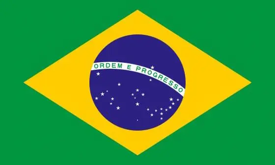 Brazil flag in colour