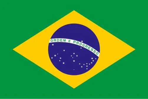Brazil flag in colour