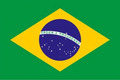 Brazil flag in colour