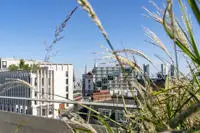 LSE campus rooftops, CBG and marshall building