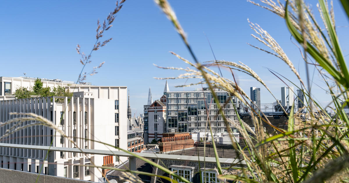 About us | the Global School of Sustainability at LSE - LSE