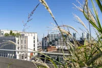 LSE campus rooftops, CBG and marshall building