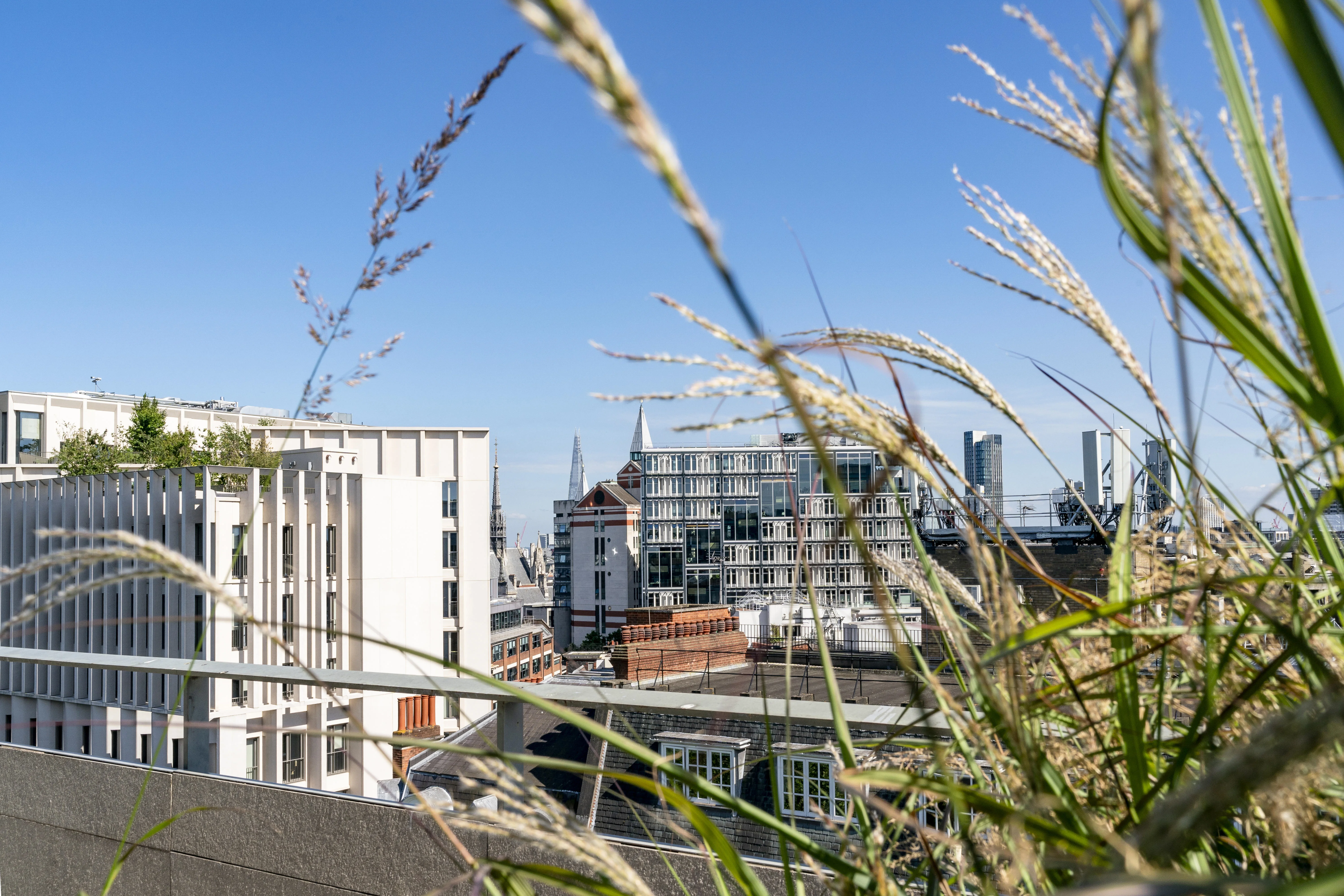 LSE campus rooftops, CBG and marshall building