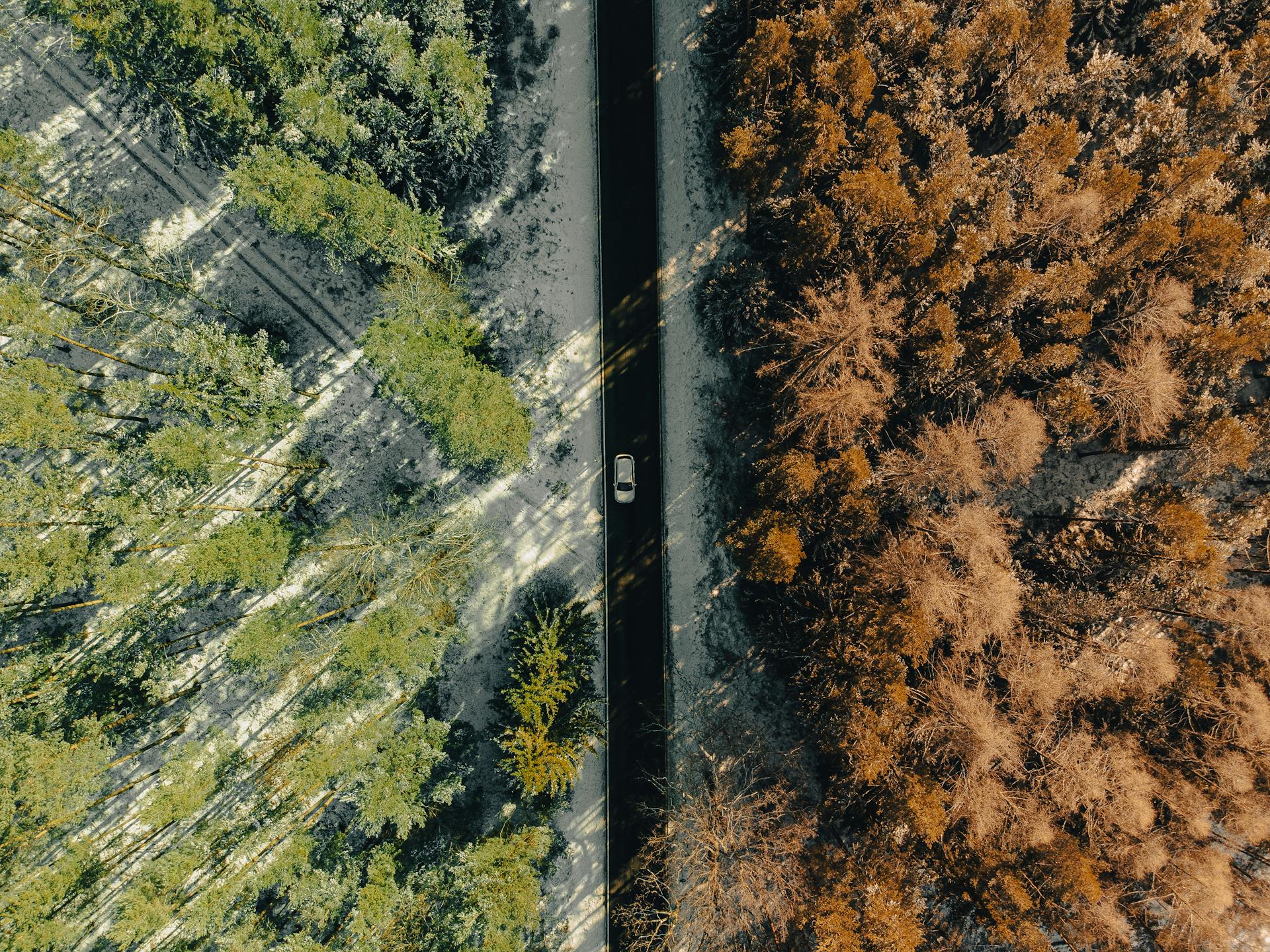 climate