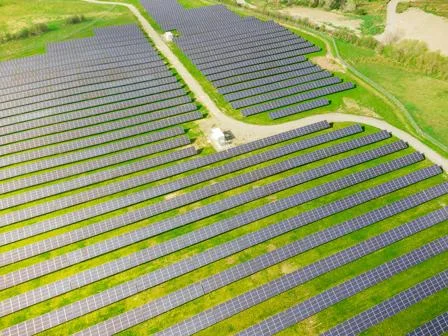 A green field filled with solar panels in lines
