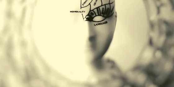 Head, language