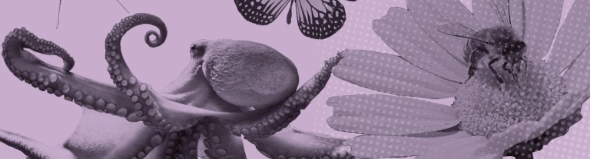 invertebrates 1920x830