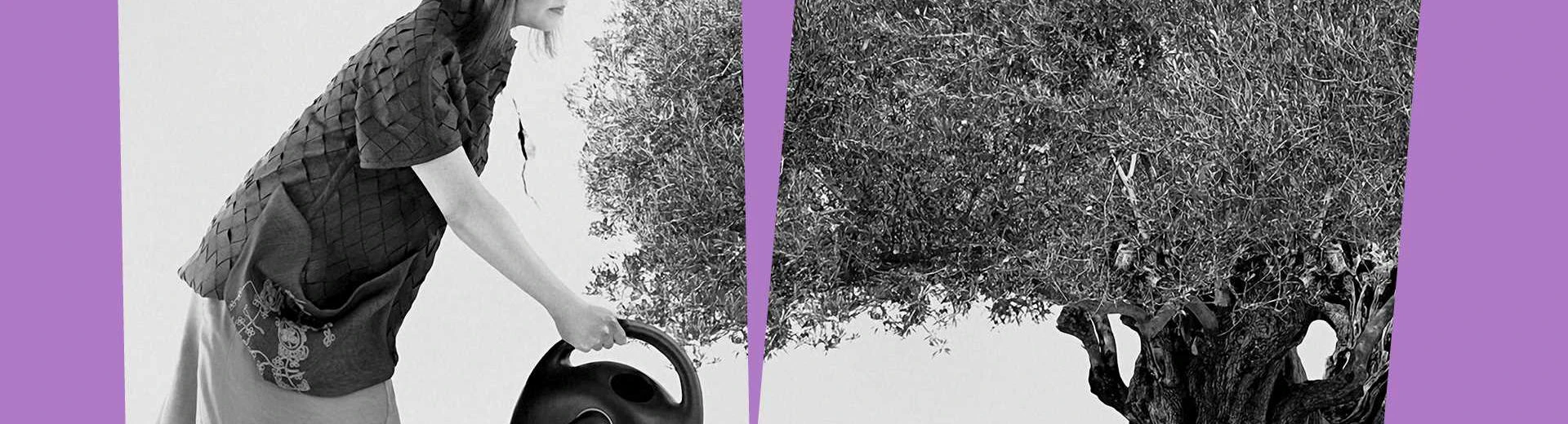middle east-23_0049 FESTIVAL themes_purple_1920x8308