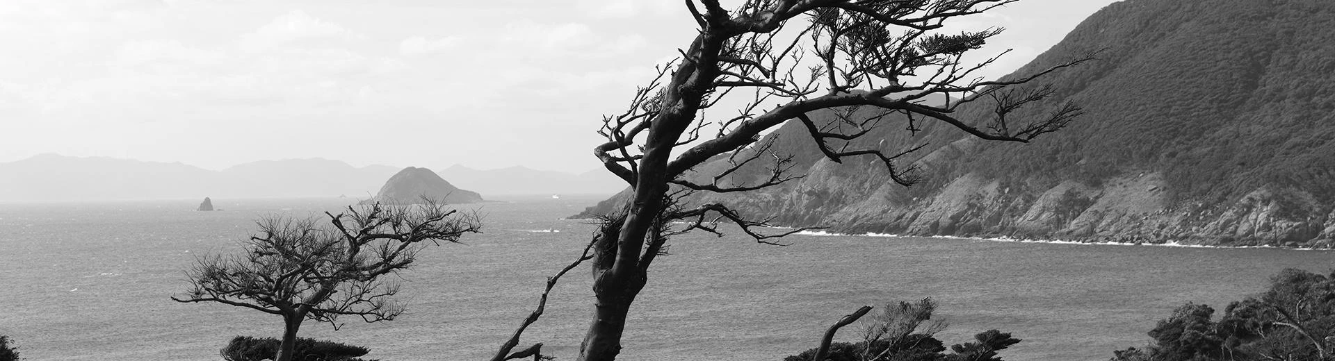 TrailstoPrayPhoto_1920x830