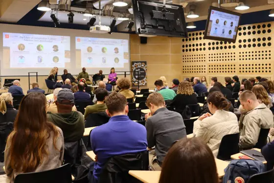 Audience in a public event