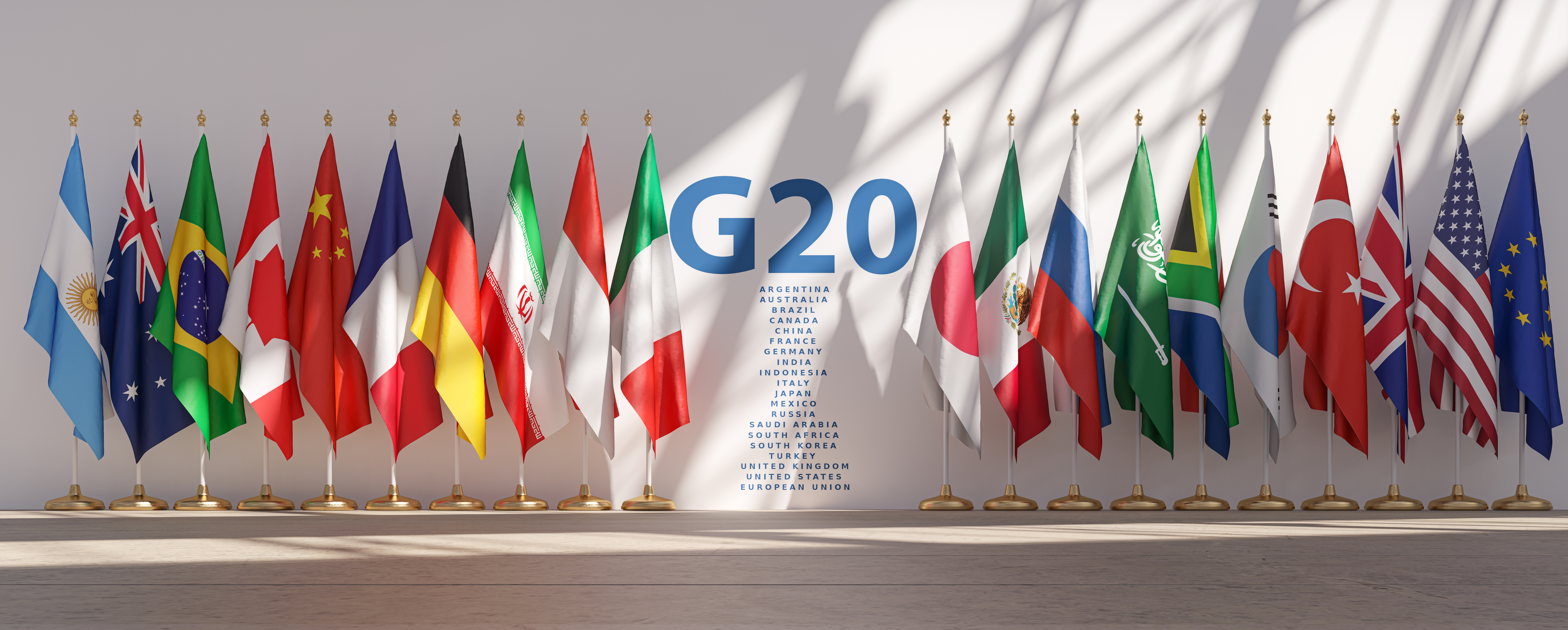 G20 flags