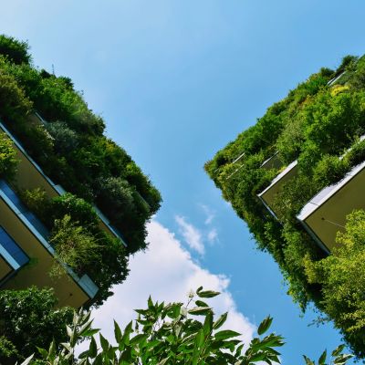 Buildings with plants