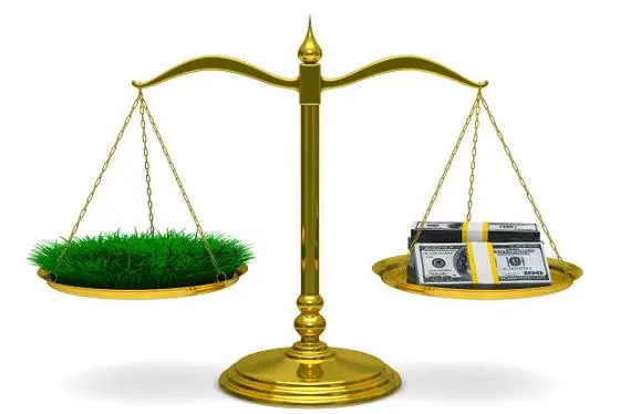 Grass and money cut-out