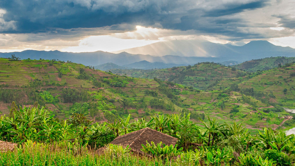 Rwandan countryside with terraced green hills and farmland under dramatic sunlight in a mountainous rural landscape