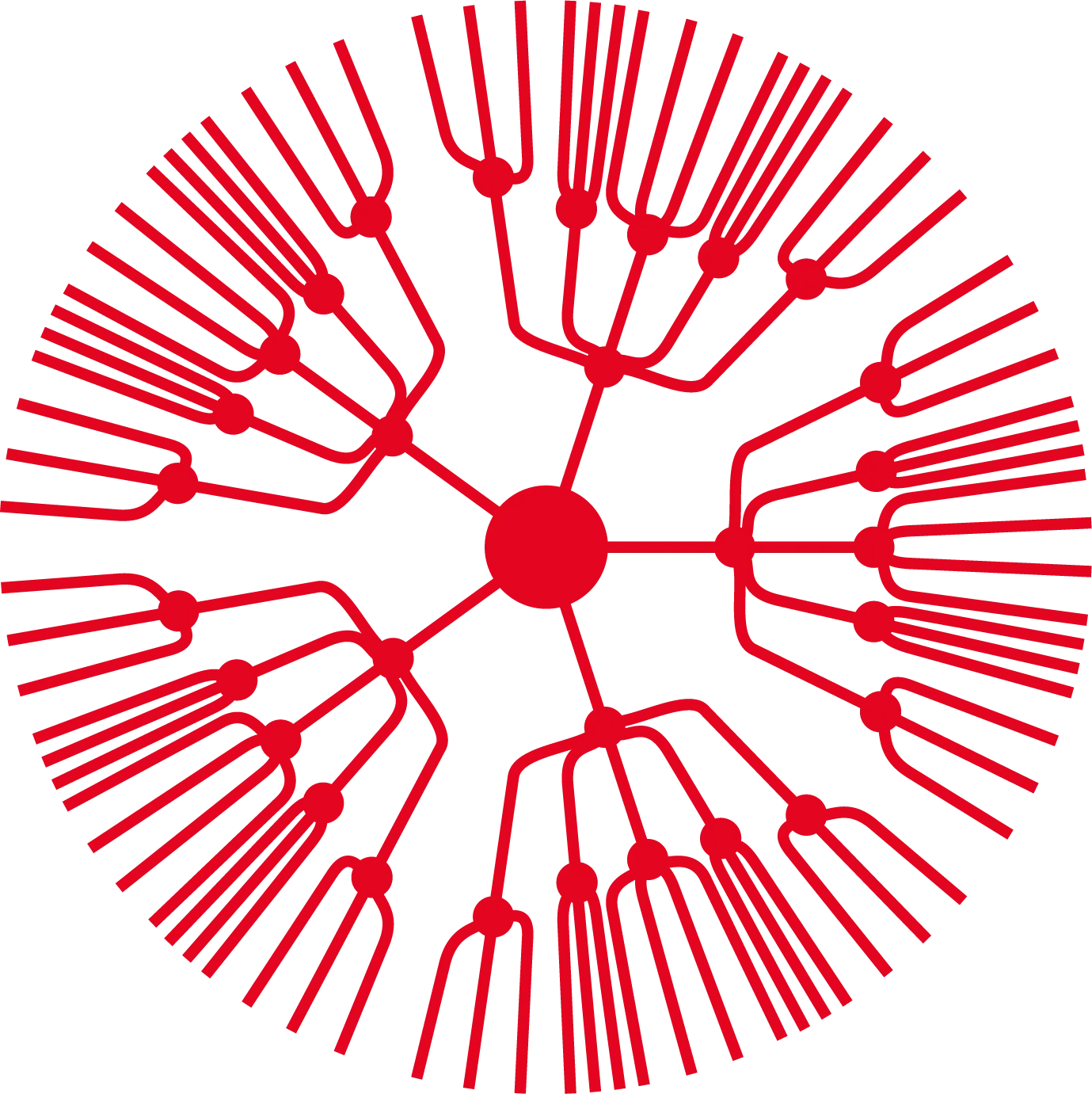 HED Icon
