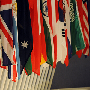 Now or Never: crafting the COVID-19 response