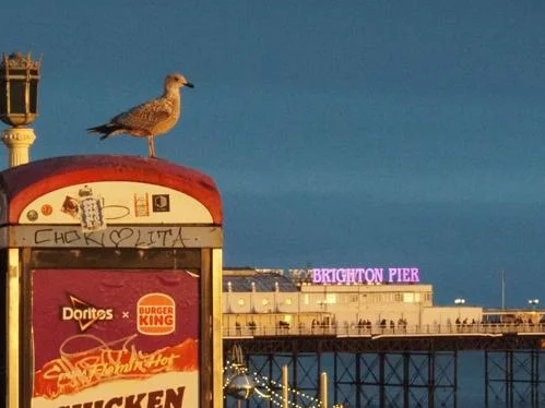 Brighton Pier