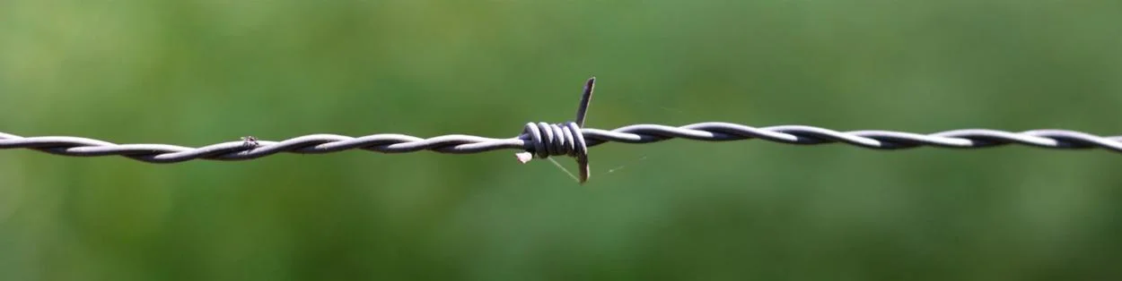Barbed wire with grass in the background