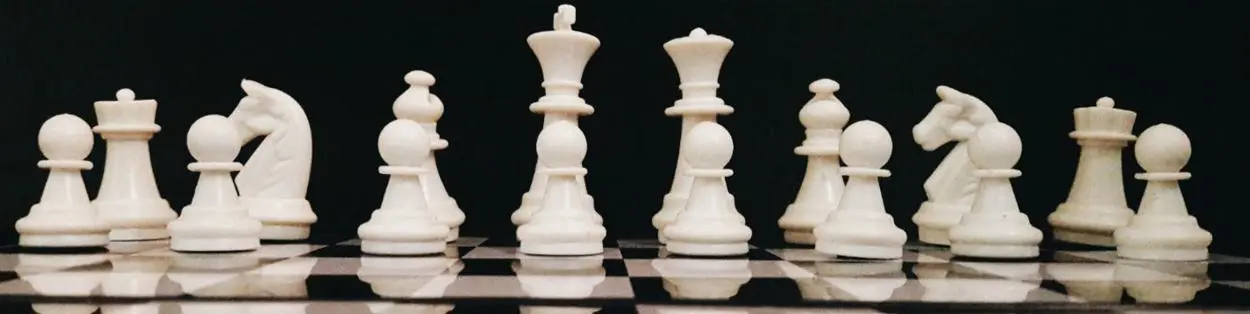 A chess board with wooden figurines.