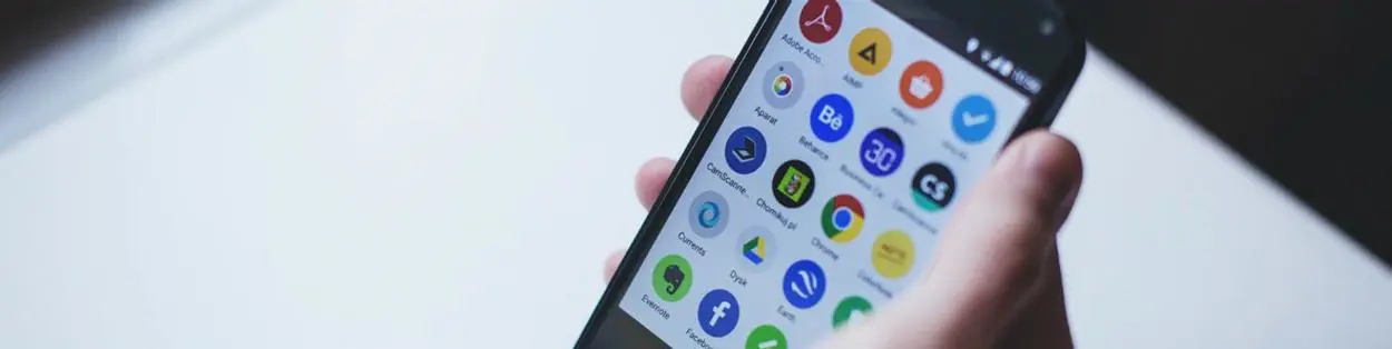 A person holding a mobile phone.