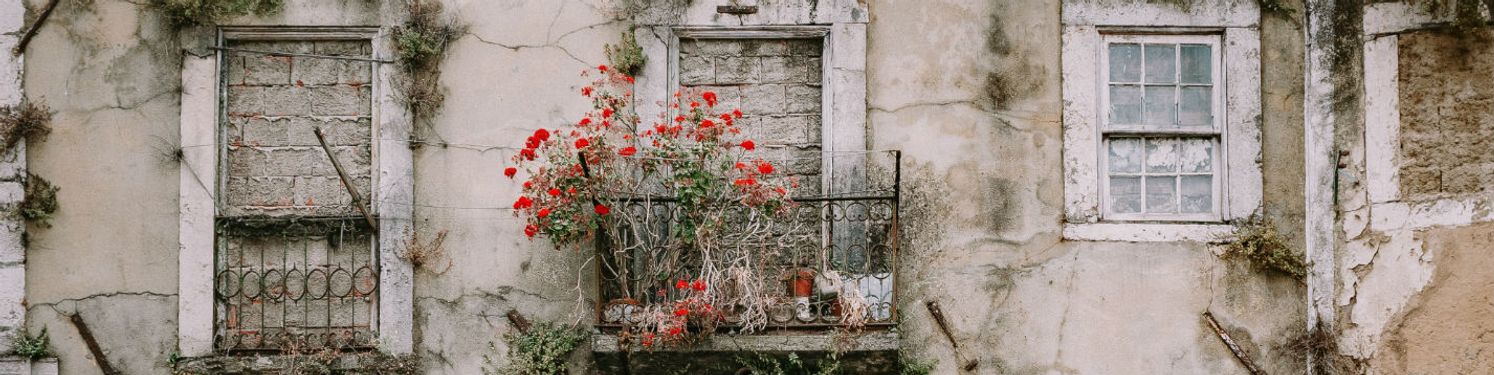A facade of an old deserted building with plants on a balcony.