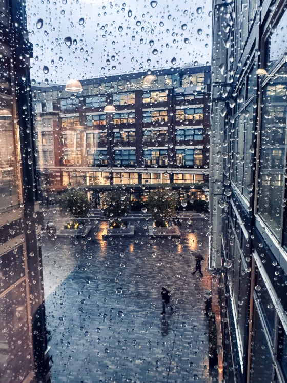 raindrops on a window LSE Campus